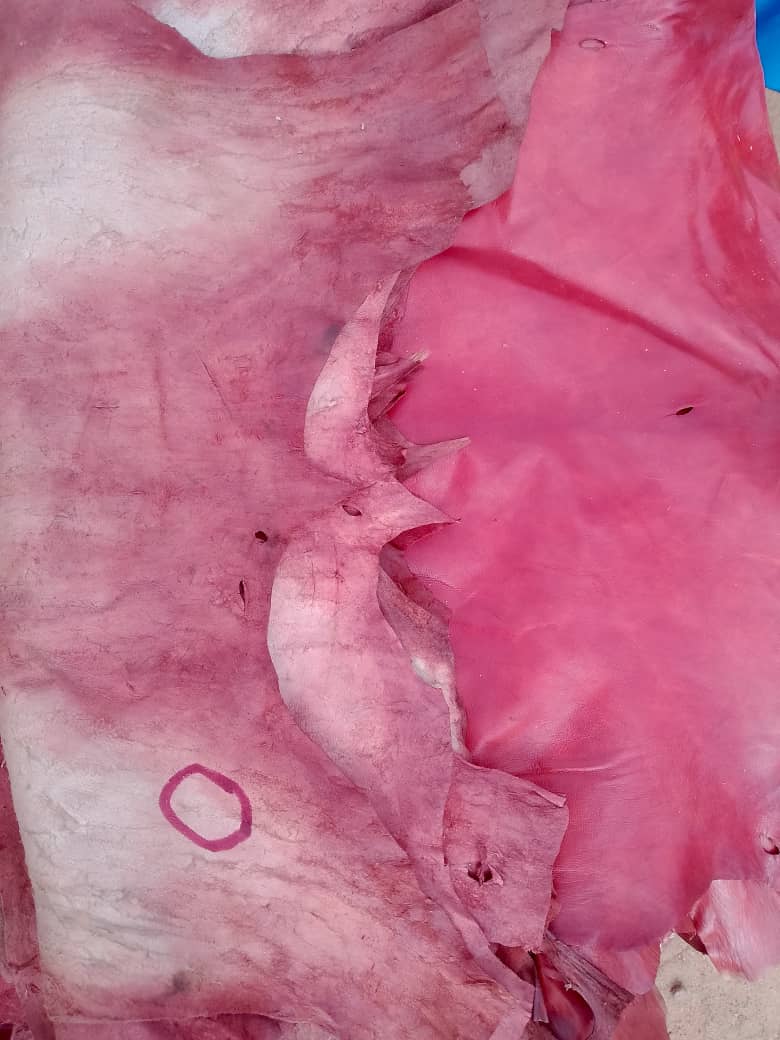 Pour l'industrie l' Art et la culture, je mets à nu les peaux d'animaux