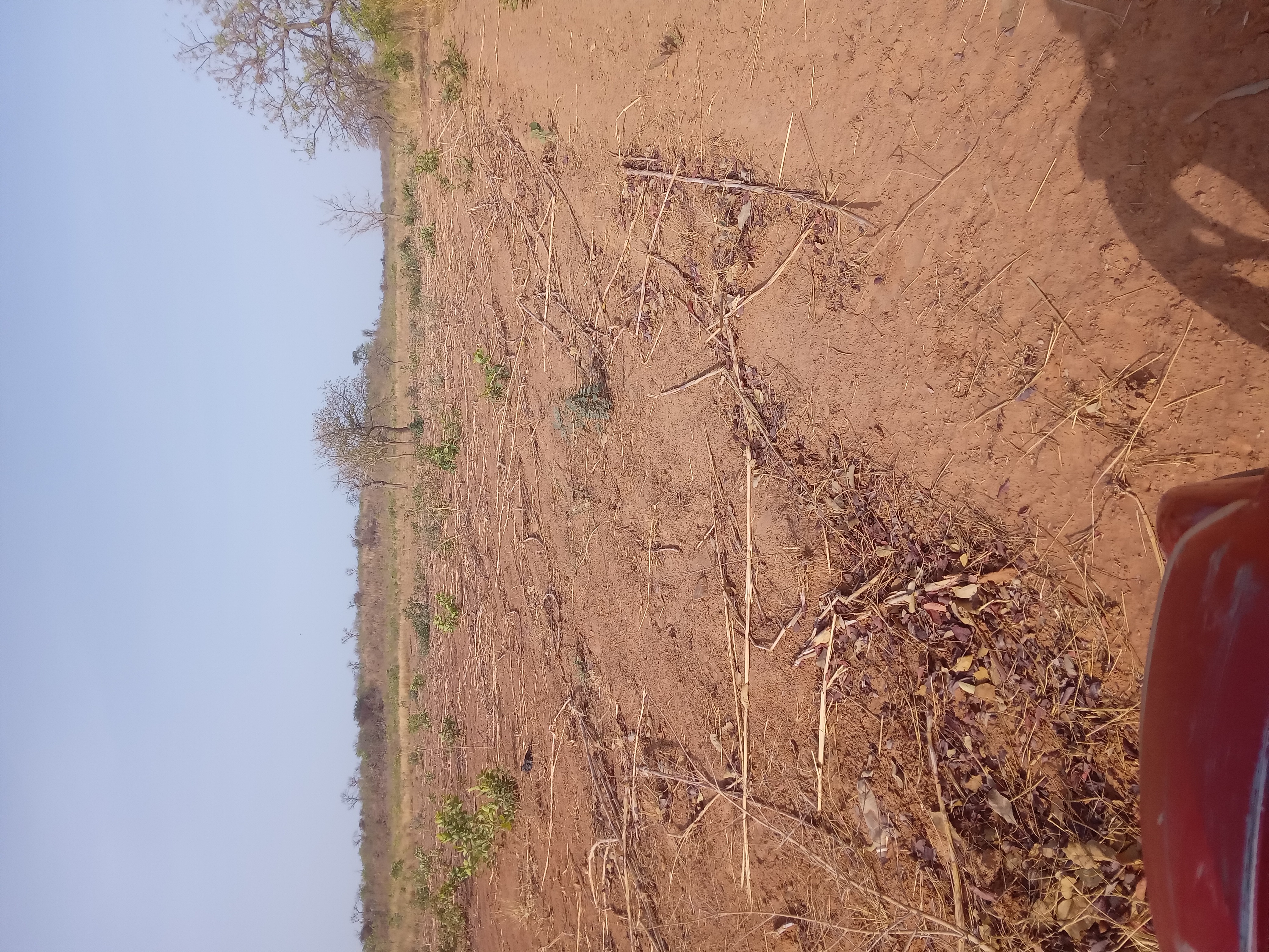 Aidons une famille rurale de Kolokani à retrouver son autonomie alimentaire