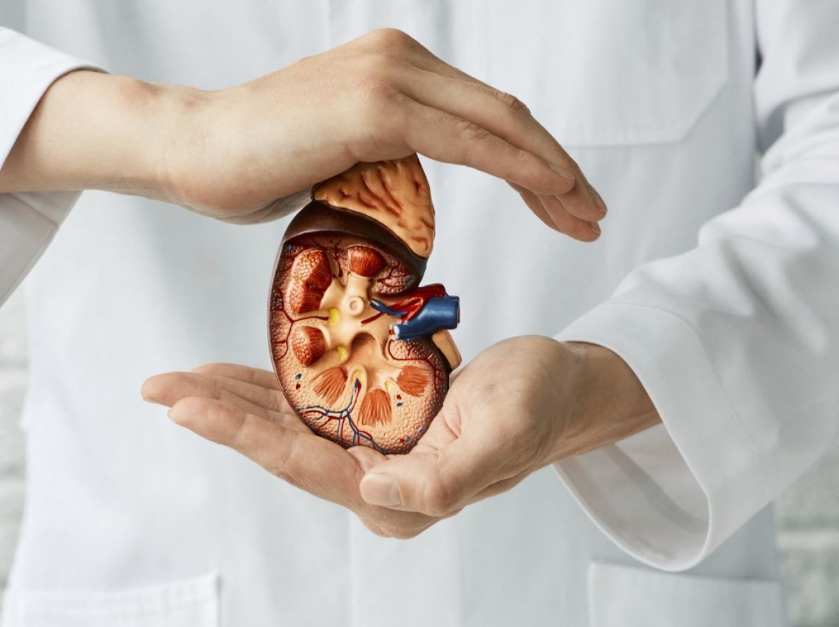 Come finanziare un trapianto di organo con il crowdfunding (2026)