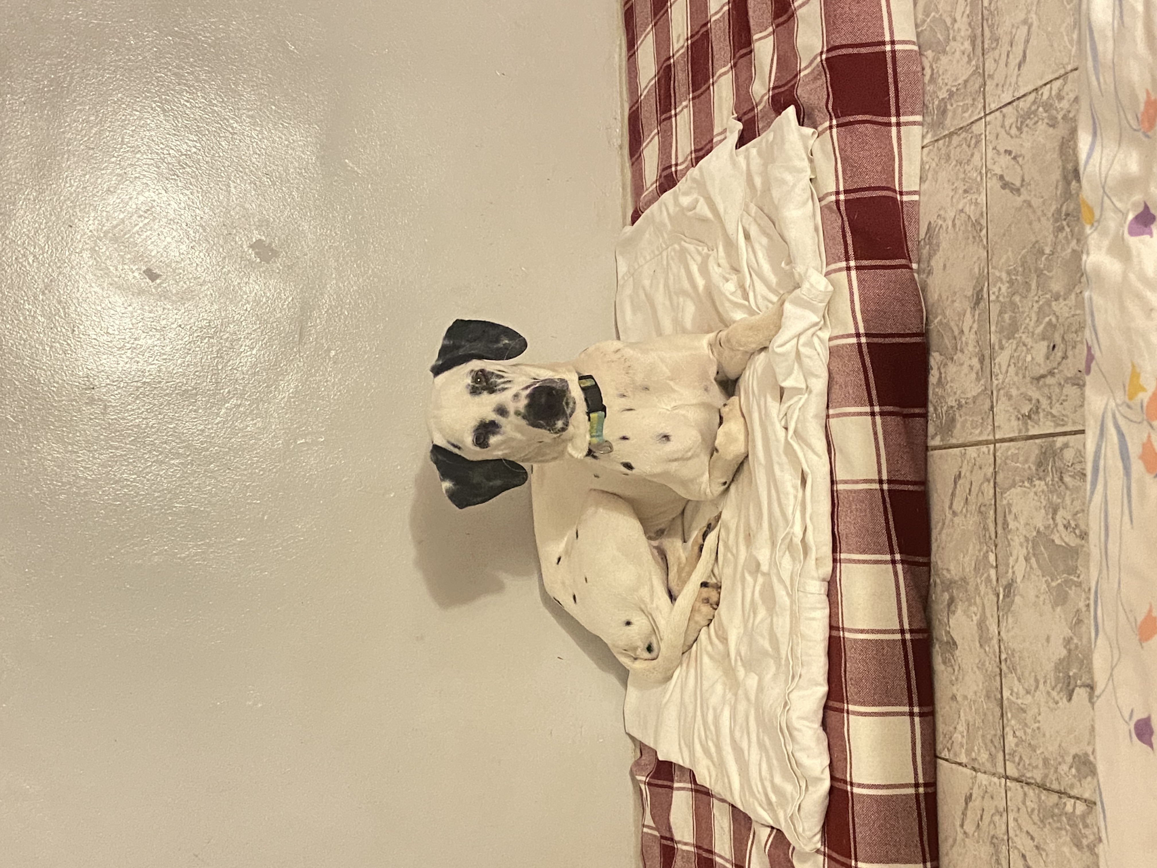 From Family Rejection to Fighting for My Future