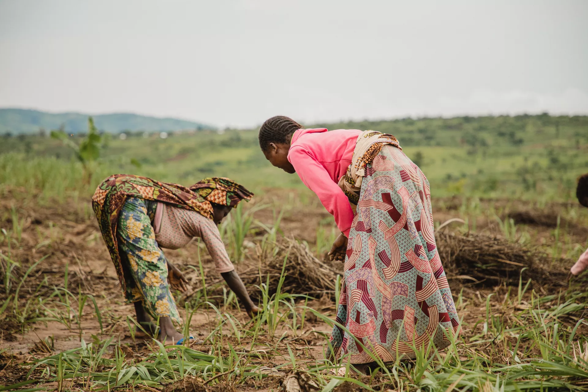 ALERTE HUMANITAIRE DE L'ACTION POUR LE DÉVELOPPEMENT SOCIAL ET LA PROMOTION DE LA PAIX, ADSP Asbl