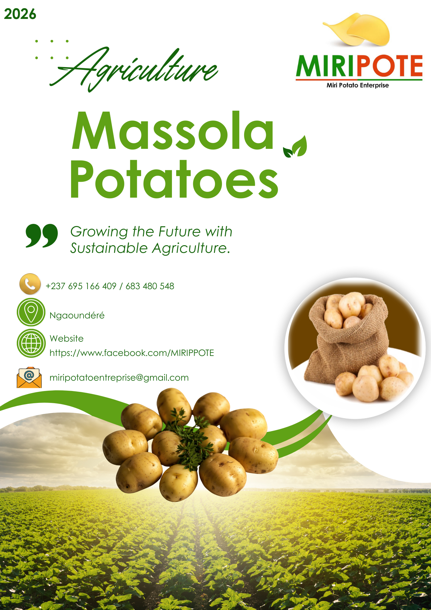 Soutenons Massola Potatoes : nourrir des vies, créer des emplois et transformer l’agriculture locale durablement