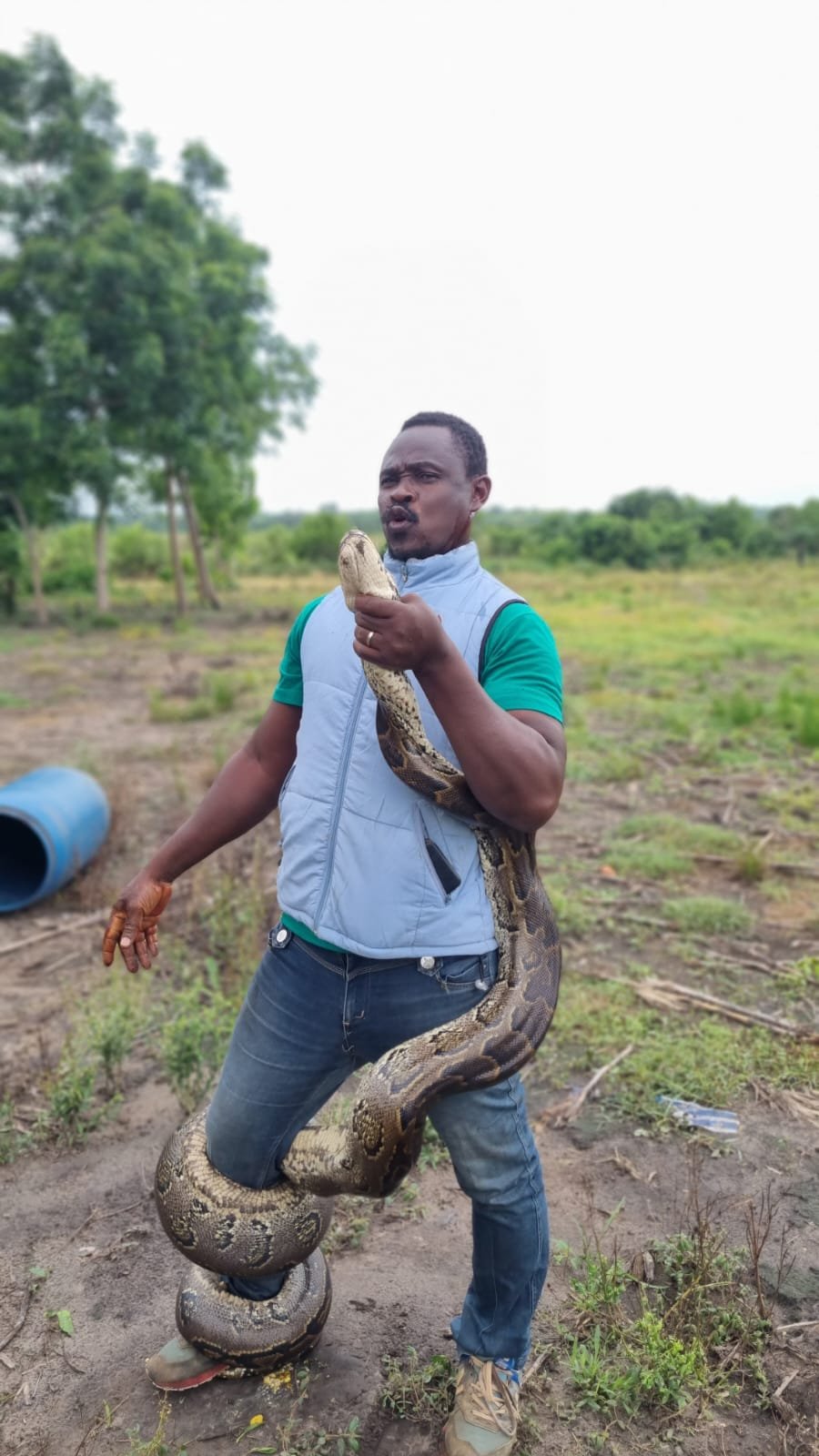 Refuge pour les reptiles de la réserve des hippopotames