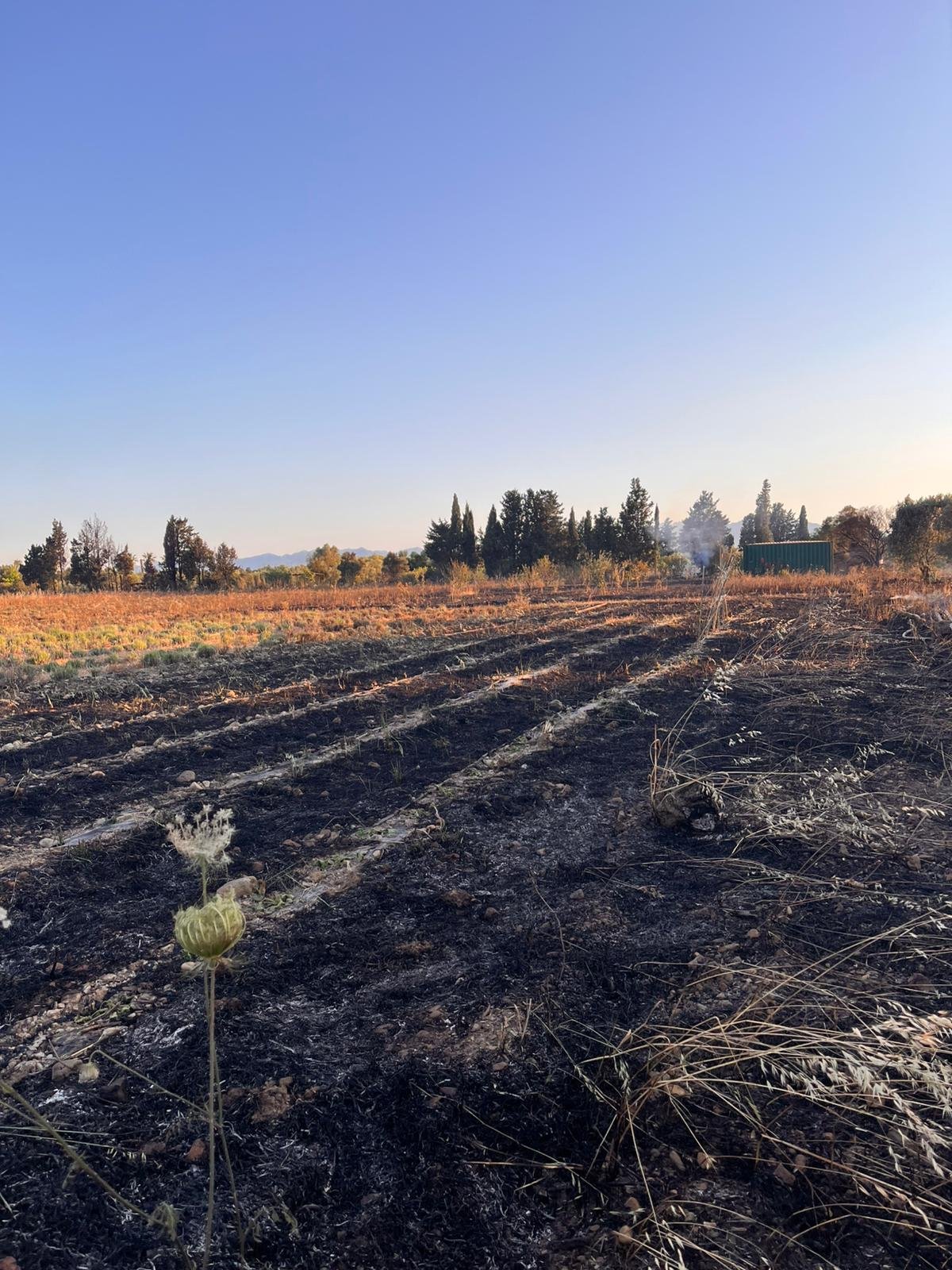Sostieni l'azienda agricola biologica Niabi a fiorire di nuovo !