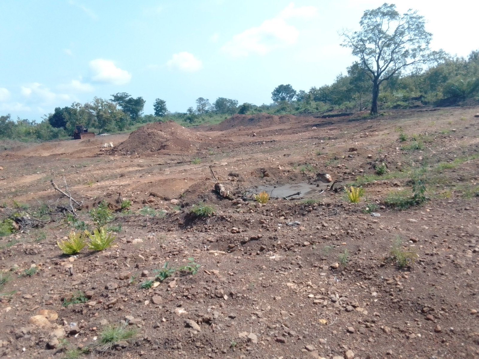 Projet de restauration des sites agricoles dégradés dans la préfecture de Kpele Projet ProSAD