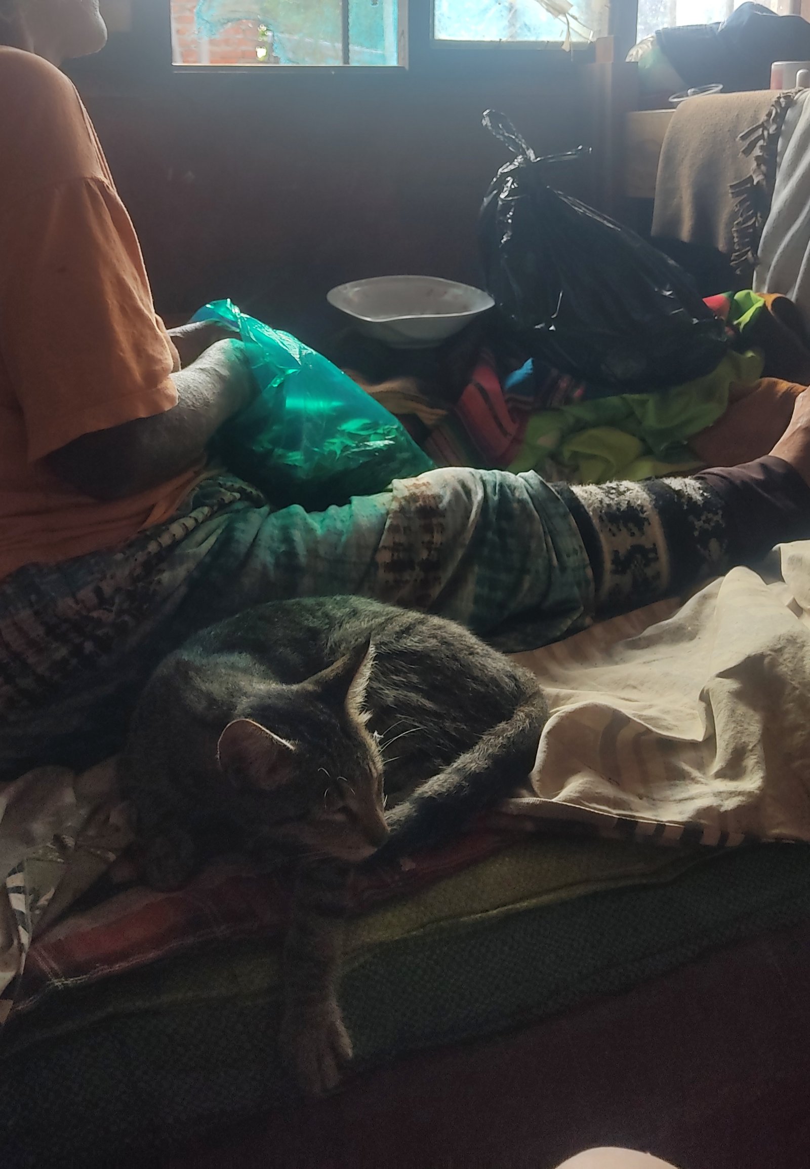Ayuda familiar