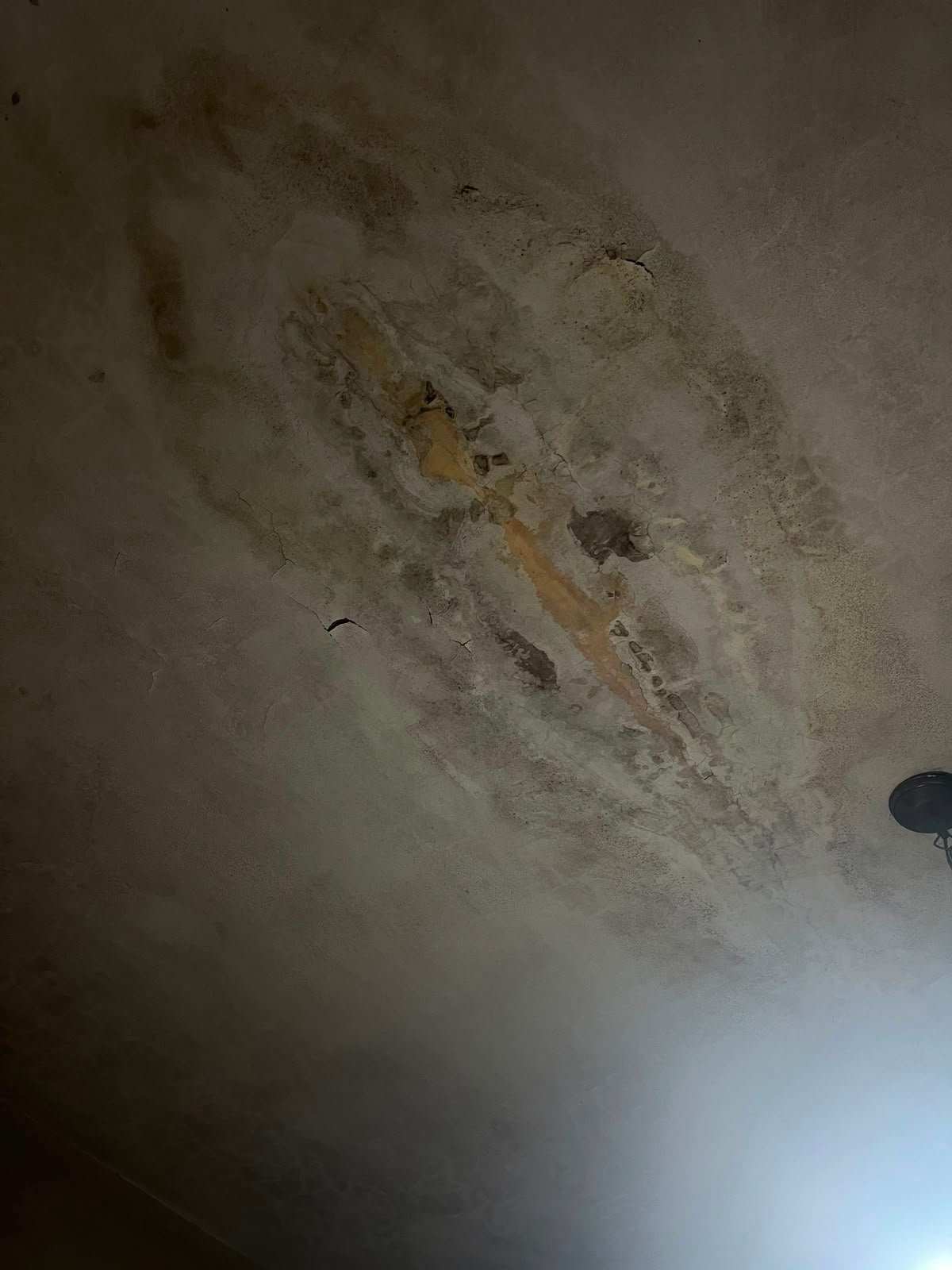 Help us make our home safe from toxic mold
