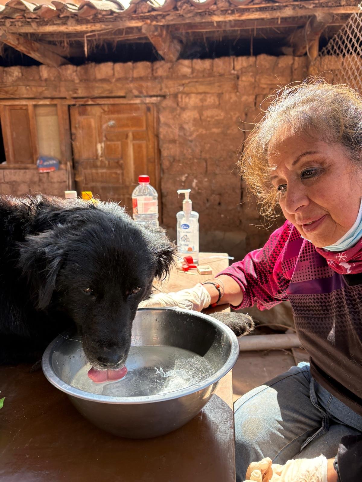 POR FAVOR, AYUDA A MILLIE CONSEGUIR SU OPERACÍON