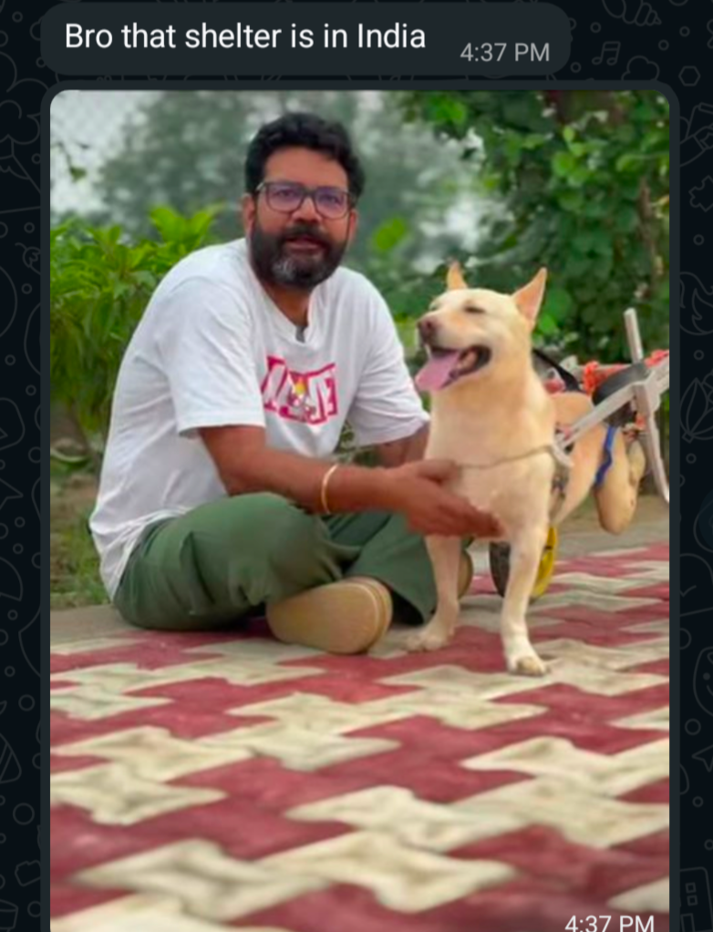 SUPPORT VOSAH BUY LAND FOR THE SHELTER