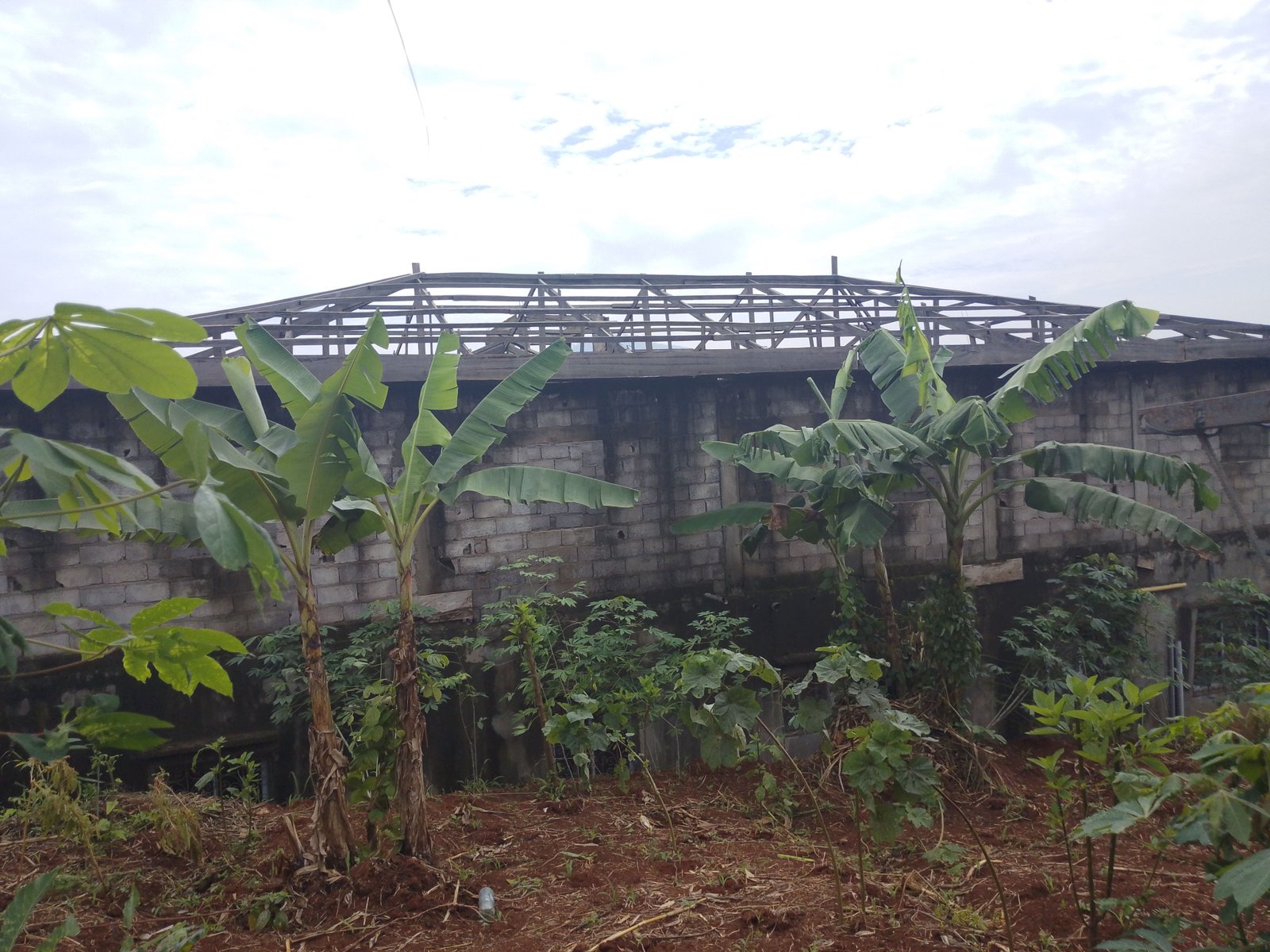 Help Me Repair My Damaged Roof and Protect My Home