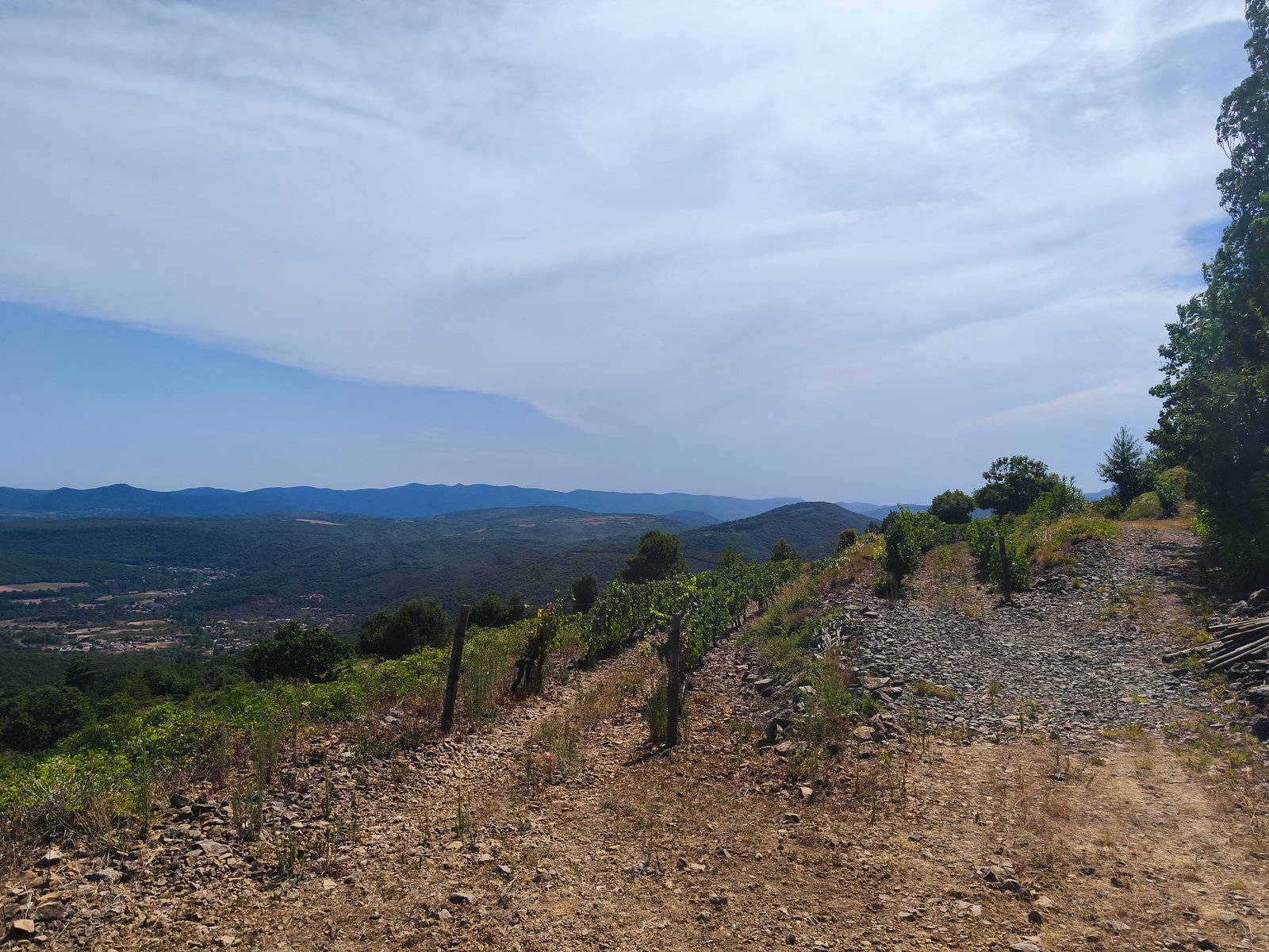 sauver un terroir unique en Occitanie